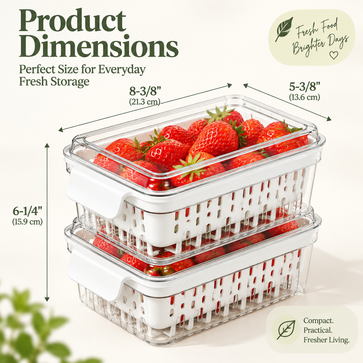 Produce Saver Berry Keeper