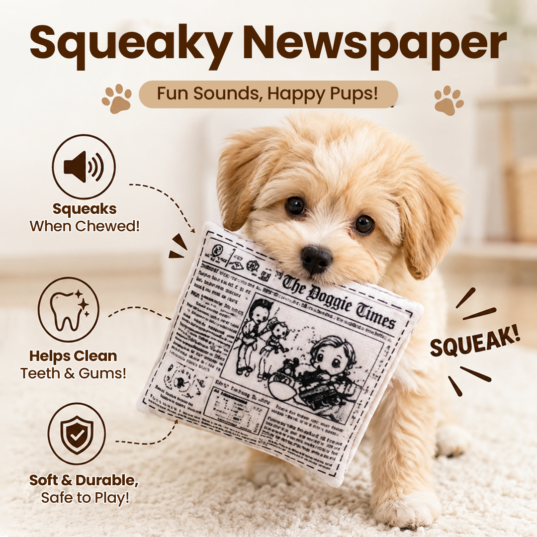 Interactive Squeaky Rubber Chew Toy for Dogs