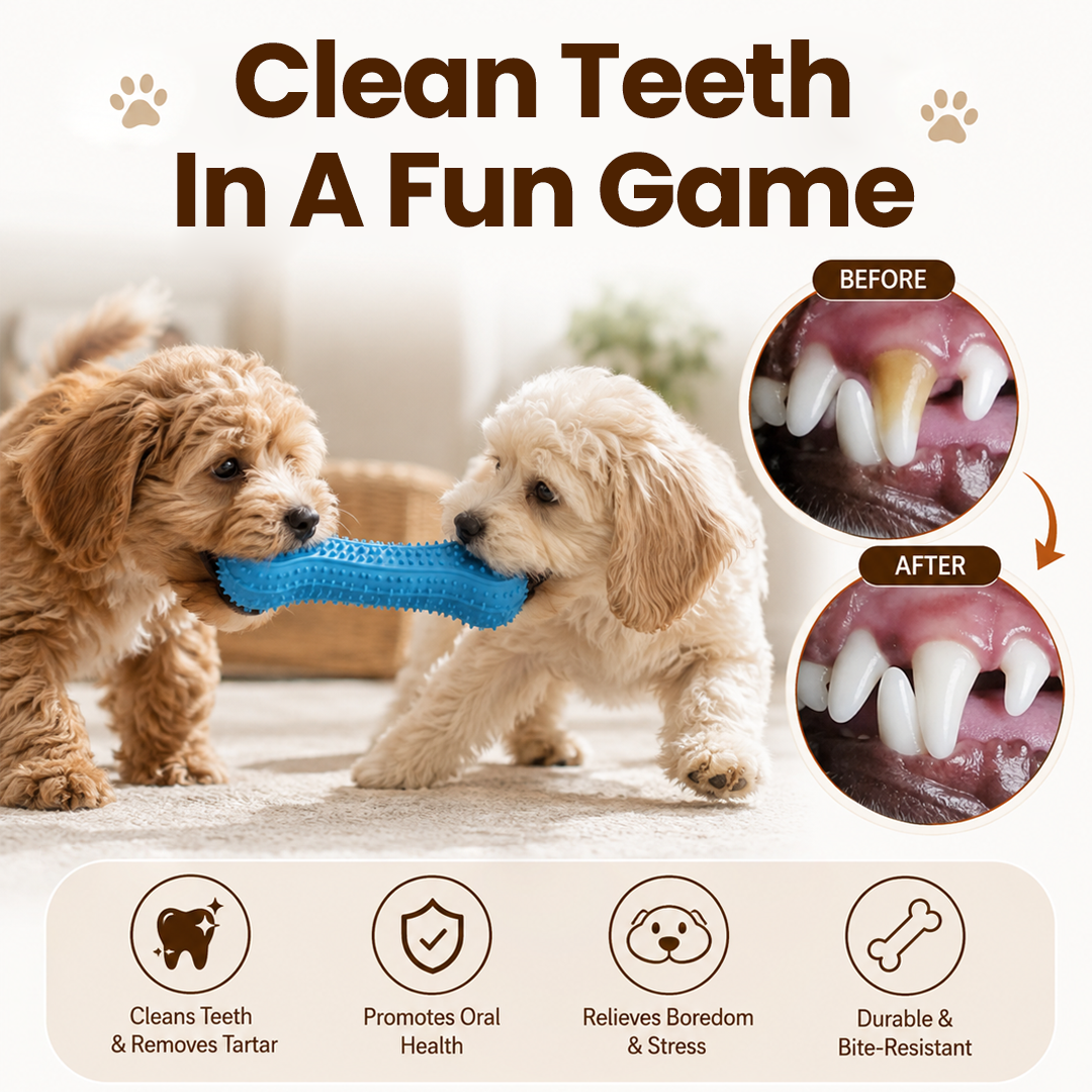 Interactive Squeaky Rubber Chew Toy for Dogs