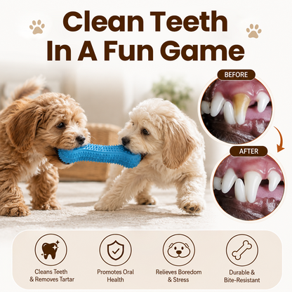 Interactive Squeaky Rubber Chew Toy for Dogs
